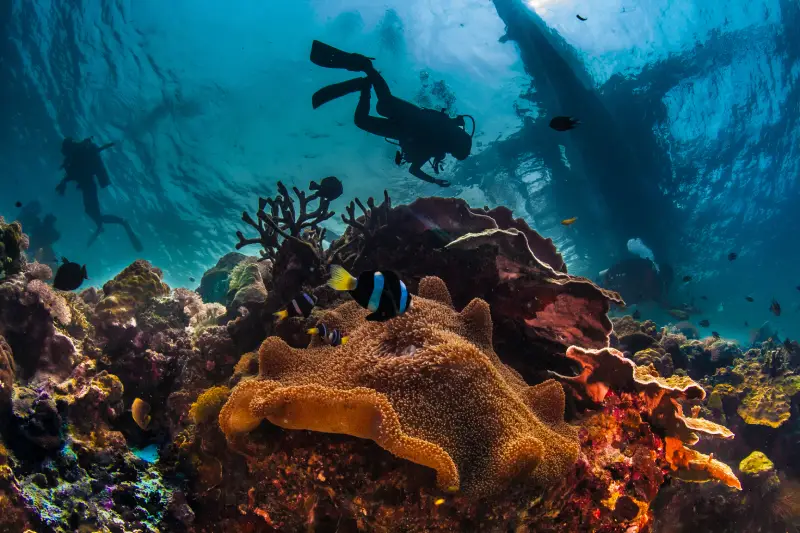 Snorkelling at a colourful coral reef in Hurghada, Red Sea