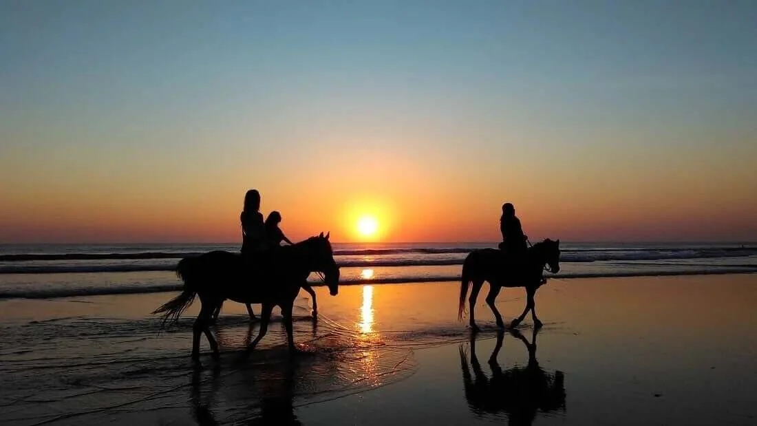 Reiten am Strand in Hurghada bei Sonnenuntergang mit Pferden am Roten Meer
